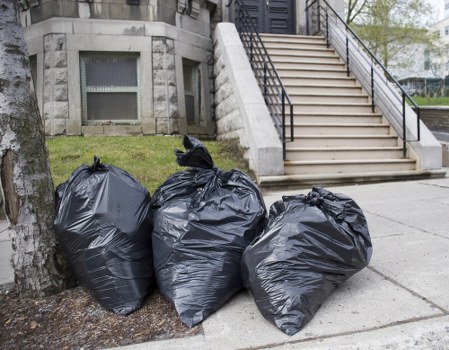Professional team removing garden waste efficiently